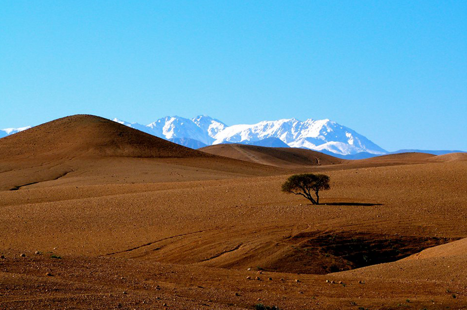 Excursión al Desierto de Agafay