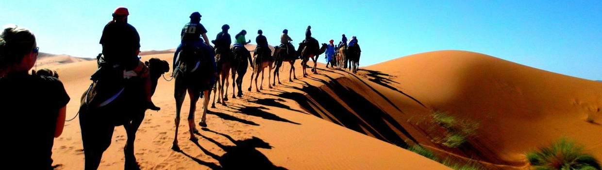 camel trekking grande