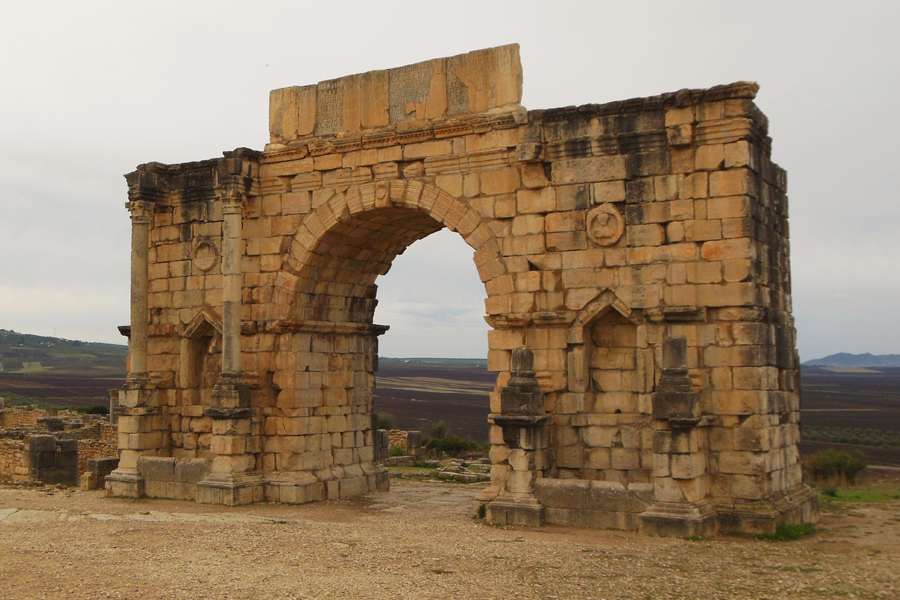 4 Volubilis