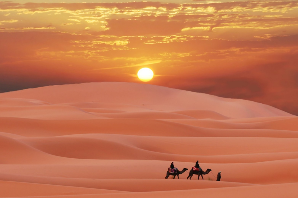 Camel Trekking Excursion, Night in the Desert