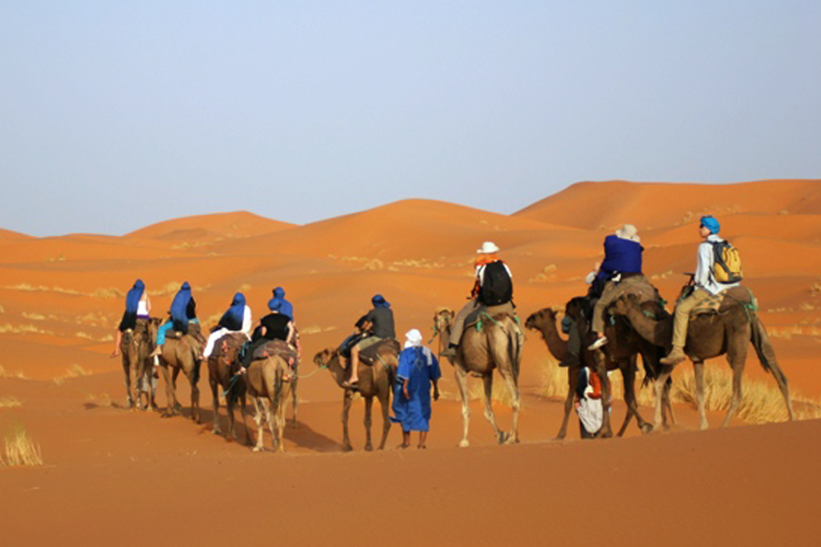 5 Camel Trekking