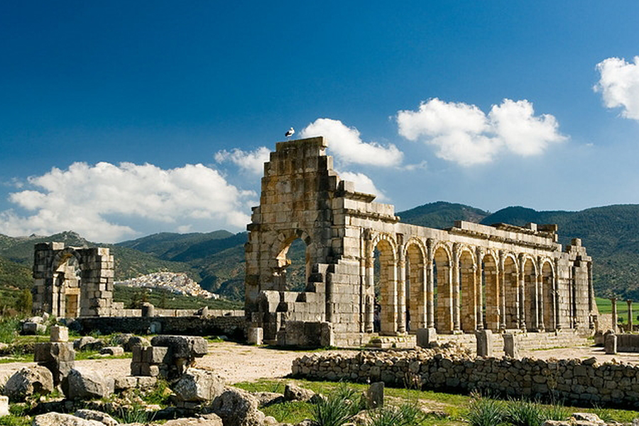 5 Volubilis